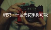 研究：一些无花果树可吸收并“石封”大气中二氧化碳