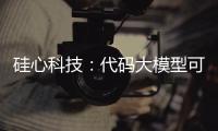 硅心科技�：代码大模型可使国有银行开发效率提升30%