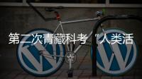 快排公司十年历程，霸屏兔 seo 的崛起与坚守