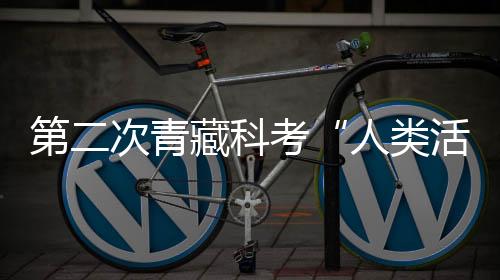 第次久爱伊人