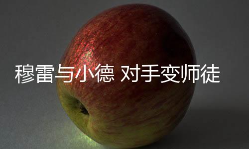 小德穆雷在巴黎奥运会后退役