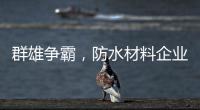 快排公司十年历程，霸屏兔 seo 的崛起与坚守