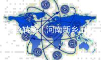紧急转移！河南新乡出现漫堤险情