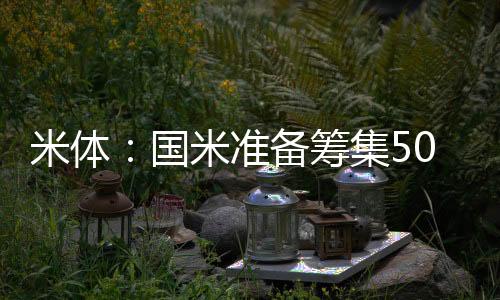 国米已经计划出售多名球员