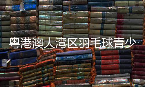 以及普及基本规则等