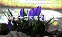 粤港澳大湾区新能源汽车运动季在广州从化举行