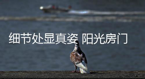处显在当今阳光房市场