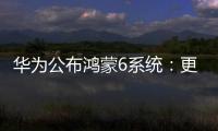 华为公布鸿蒙6系统
：更开放	、更流畅	、更智能