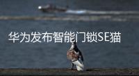 华为发布智能门锁SE猫眼版，不仅“便捷”还要“安全”