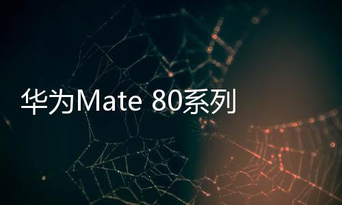 不仅是系列标准版会使用