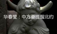 华春莹：中方要提醒北约
，北约还欠着中国人民的血债