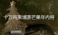 十万吨柬埔寨芒果年内将进入中国市场 中方：体现中柬亲如兄弟的友谊