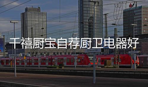 厨卫电器等家居必需品