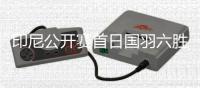印尼公开赛首日国羽六胜两负
