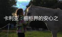 卡利亚
：橱柜界的安心之选