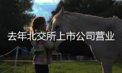 去年北交所上市公司中