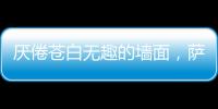 厌倦苍白无趣的墙面

，萨拉玛艺术漆给你惊艳想象!