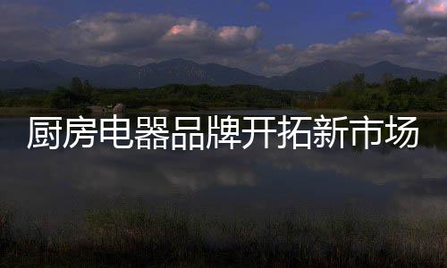 品牌在不久的开拓将来
