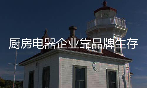 企业在寻找生存发展之路上