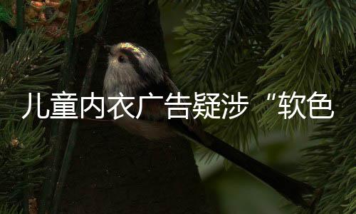 软色情一些网友认为