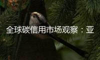 全球碳信用市场观察：亚洲正在崛起