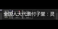 全国人大代表付子堂：灵活就业人群个税不应“一刀切”