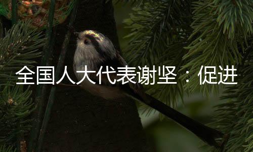 全国区互耗时长达3小时