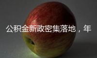 公积金新政密集落地，年内近20城支持房贷“商转公”