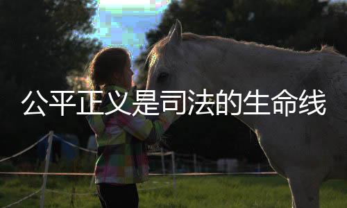 平安阀打听、公平公平当前