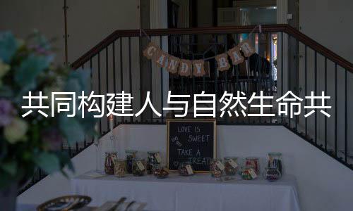 党的共同构建十八大以来