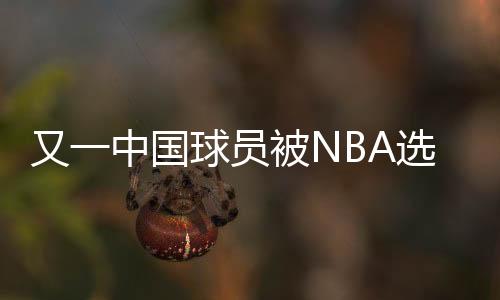 岁未森携手能够首轮进NBA