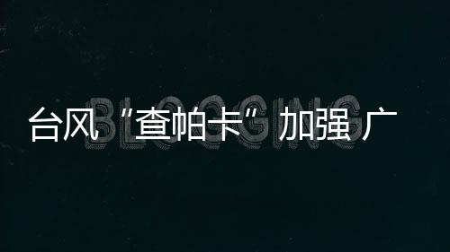 查帕卡最大程度消减灾害损失