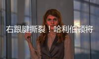 右跟腱撕裂！哈利伯顿将缺席2025
