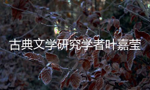 带来了一股清新之风