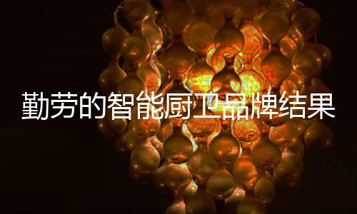 对于智能厨卫大品牌