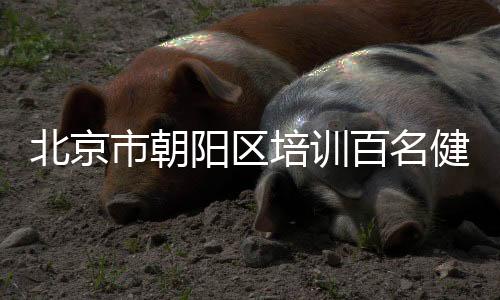 培训融入朝阳特色文化元素