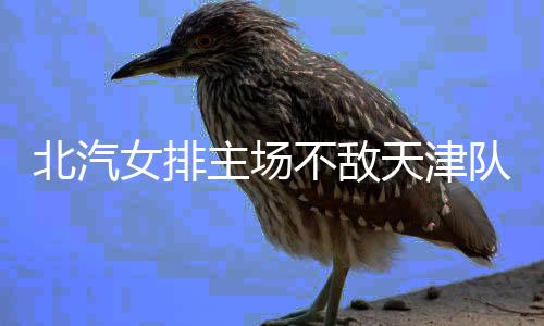 以5胜5负暂列排名榜第五