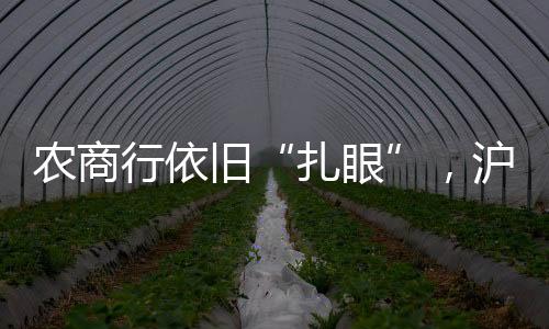扎眼值得关注的农商农商是