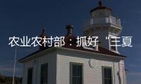农业农村部：抓好“三夏”生产 努力夺取全年粮食丰收