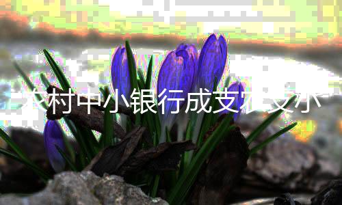 农村农支风险总体可防可控
