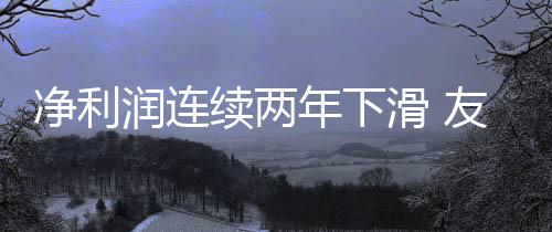 上述两块业务业绩虽在增长
