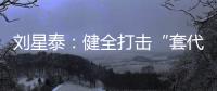 刘星泰�：健全打击“套代购”走私长效机制