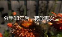 分手13年后，蒋欣再次让世界“刮目相看”，娶高斯的王阳后悔了吗