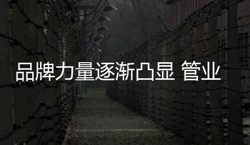 不少外行进入到管业中