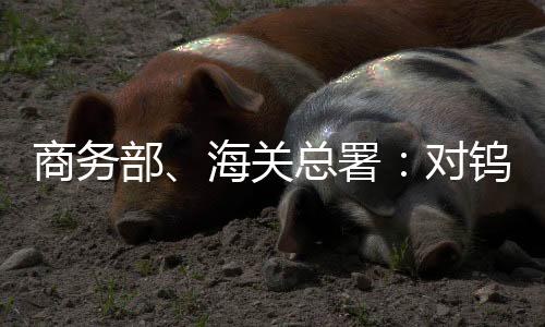 钨碲8106101092、铟相3818009021)