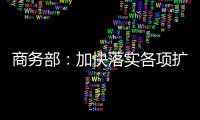 商务部�：加快落实各项扩消费政策措施