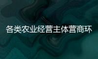 快排公司十年历程，霸屏兔 seo 的崛起与坚守
