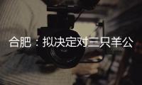 合肥：拟决定对三只羊公司没收违法所得、罚款共计6894.91万元