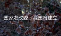 国家发改委�：我国将建立和实施育儿补贴制度