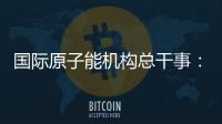 国际原子能机构总干事
：支持伊美就核问题举行谈判